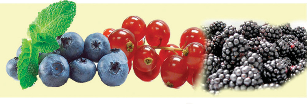 ALIMENTOS  ANTICANCERÍGENOS